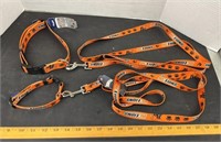 2 BC Lions Dog Collars and Leashes. (1 LG, 1 SM)