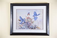 Signed Blue Bird Professionally Framed Litho Art