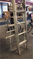 Aluminum Ladder and Step Ladder