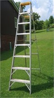 Werner 8 ft Step Ladder