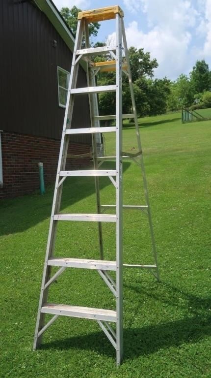 Werner 8 ft Step Ladder