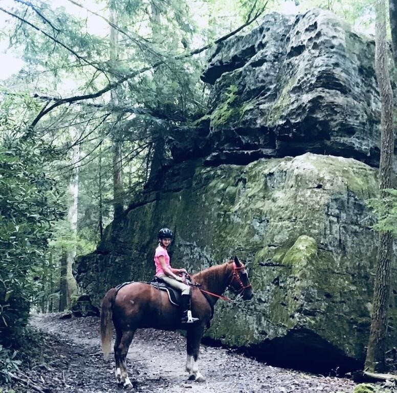 Rusty - Sorrel Kentucky Mtn Gelding