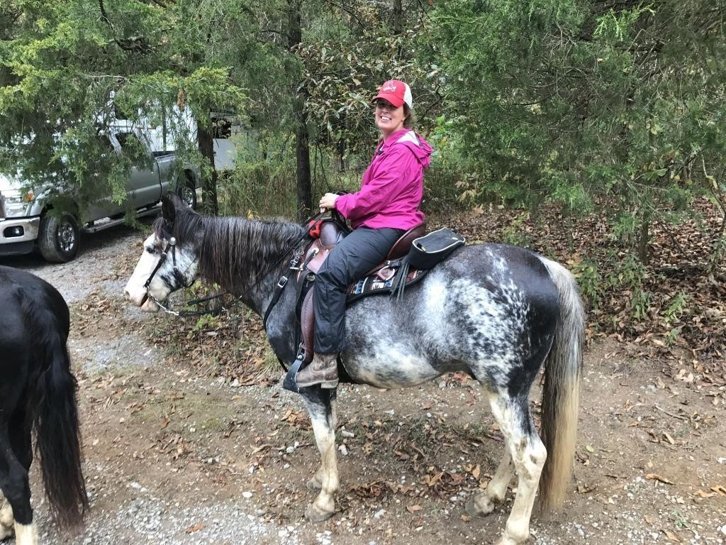 Morgan - 14 YO Black/White Sabino Gelding