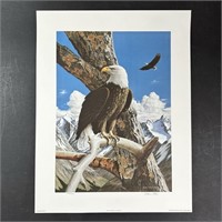 Glenn Olson's "Mountain Majesty - Bald Eagle" Limi