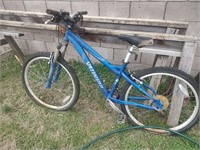 * Blue Adult Bicycle
