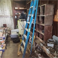 8 Step Werner Metal Ladder