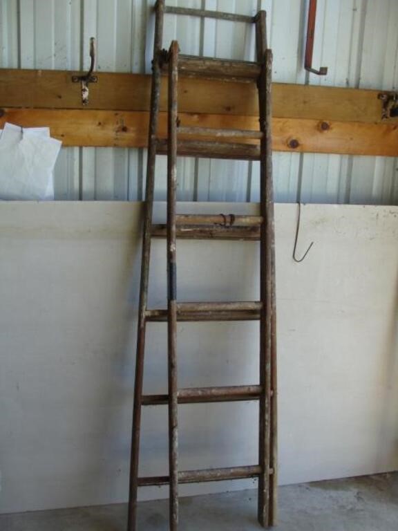 Two Section Ladder