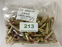 22 Magnum ballistic tip, approximately 187 rods