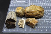 Petrified Wood Chunks, 2lbs 14oz