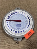 Taylor 60lb Hanging Scale