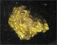 2.31 Gram Natural Gold Nugget