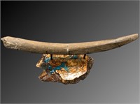 Fossilized mammoth tusk, heavily petrified, separa