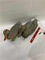 Pair Duck Decoys