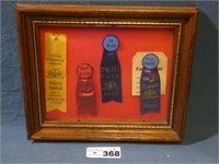 Ephrata Fair Prize Ribbons