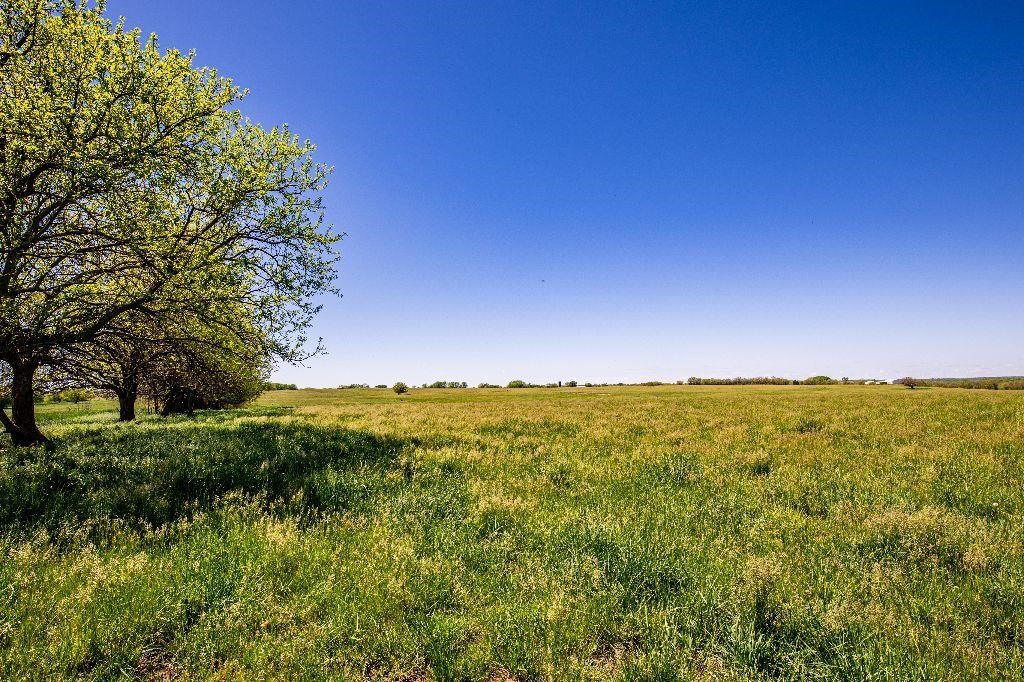 Weigand Ranch Auction