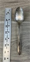 Community Silver Spoon