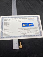 Miniature Paddle Drill     with COA