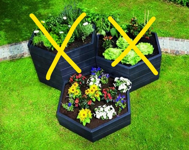 Modular Raised Bed System Gardening 1 Container