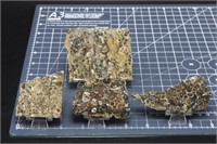 Turritella Agate, 4 Pieces, 6oz