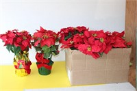 Poinsettia Flowers set 6