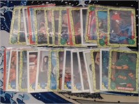 1989 Teenage Mutant Ninja Turtles Trading Cards