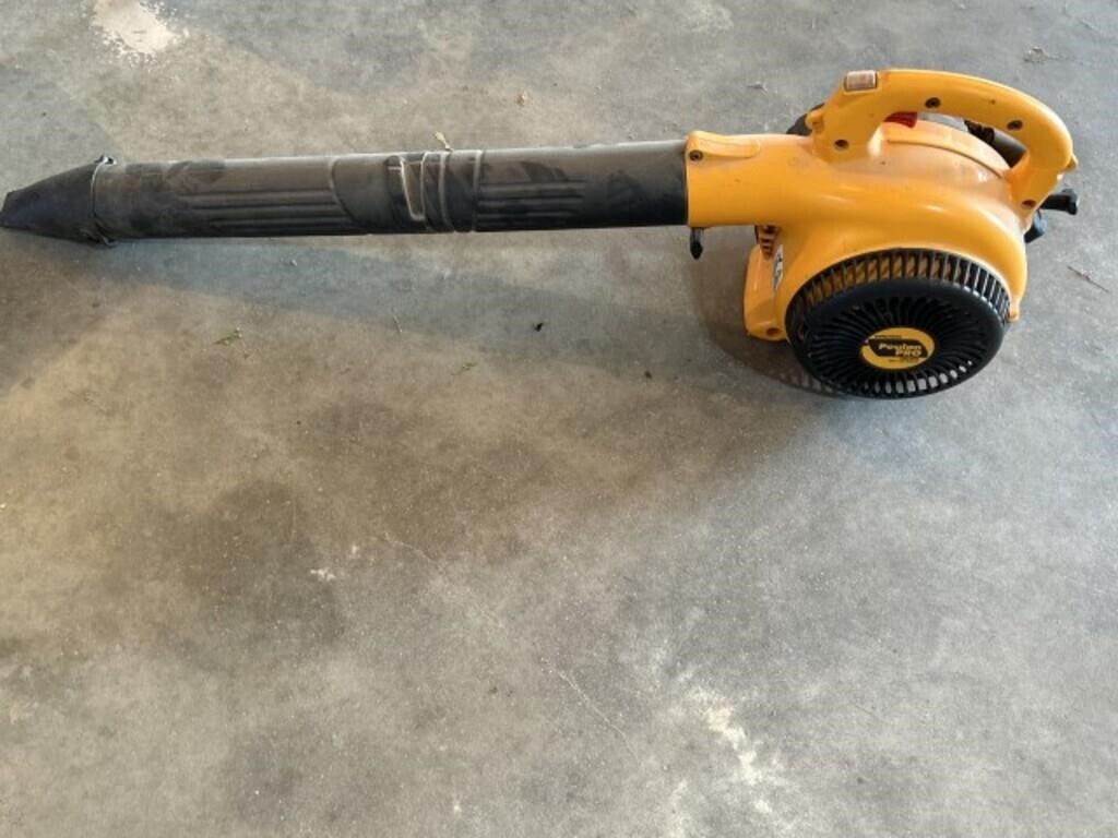 Poulan Pro leaf blower