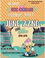 4R Sales-Ice Cream Horse Sale Horse Cave KY