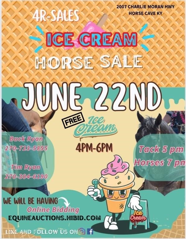 4R Sales-Ice Cream Horse Sale Horse Cave KY