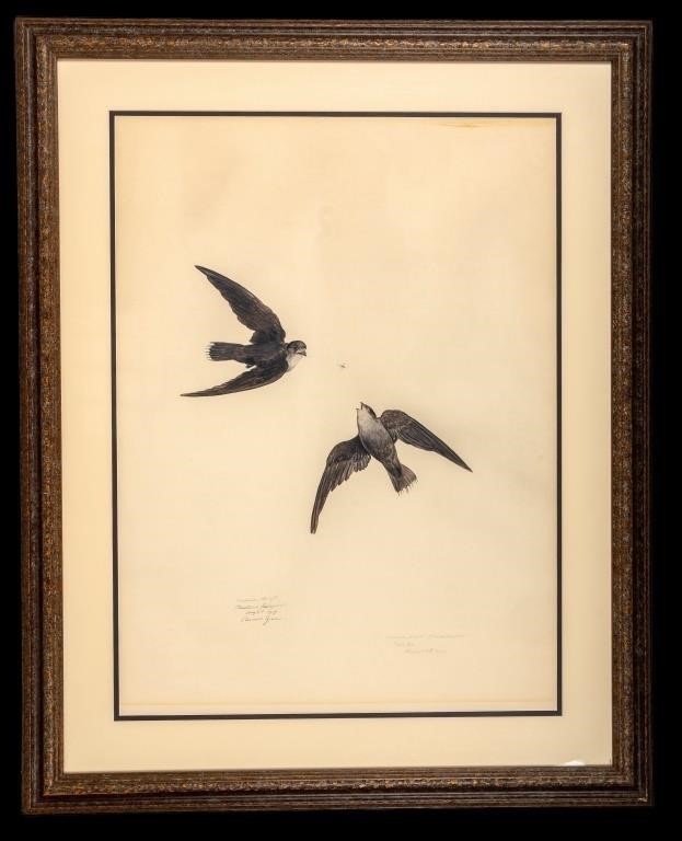 Carroll Sargent Tyson Lithograph - American Swift