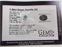 1.20ct Green Apatite (H)