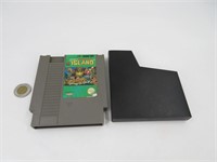 Adventure Island , jeu de Nintendo NES