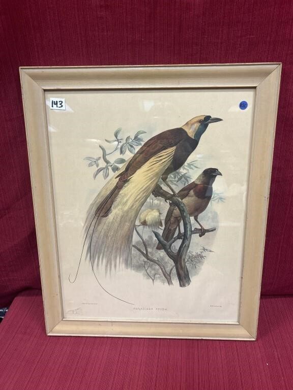 J. Wolf and J. Smit Framed print “Paradise