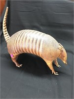 Real Armadillo - Taxidermy