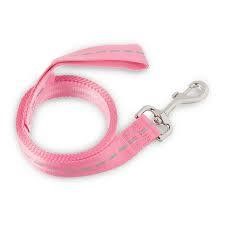 5.1' Pink Vibrant Life Nylon Dog Leash A4