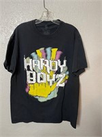 Hardy Boys Wrestling Graphic Shirt
