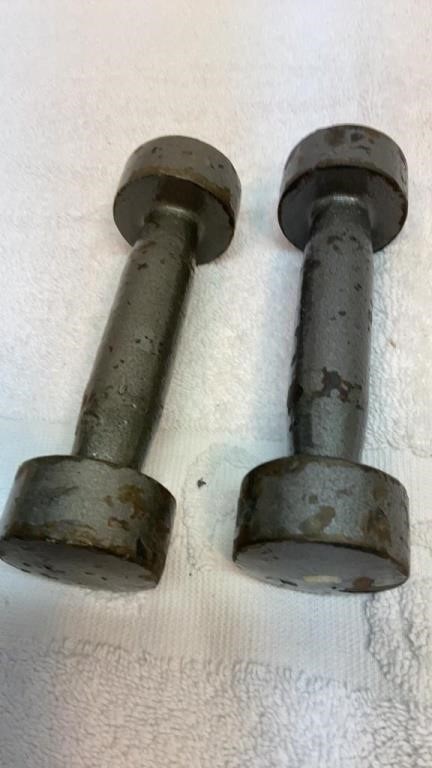 Pair of 1 pound weights