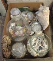 Collection of sea shell decorative items.