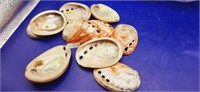 Lot of 10 Rare Red Polished Abalone

From 3" -