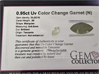 .95ct UV Color Change Garnet (N)