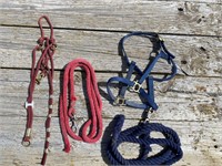 2 HALTERS W/ LEADS