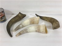 4 cornes de boeuf - Ox horns