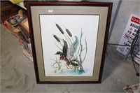 WOOD DUCK DRAKE PRINT LIMITD EDITION #220 OF 500