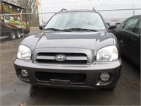 2005 Hyundai Santa Fe VIN# KM8SC73E85U918736