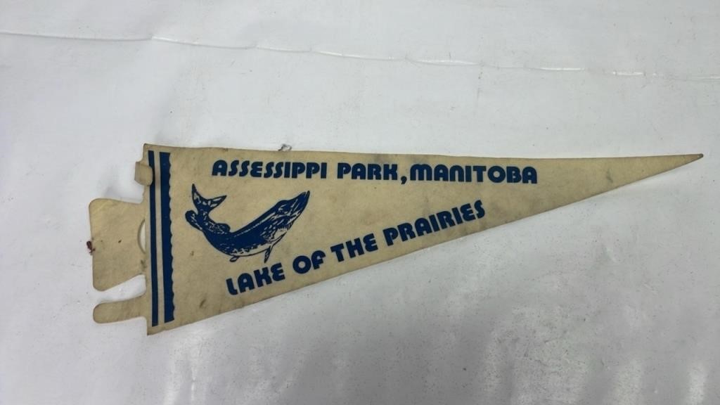 Assessippi park Manitoba Pennet