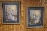 LOT OF 2 FRAMED & MATTED DUCK PRINTS 22.5 X 18.5