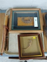 (2) Preserved Seahorses, (2)Trade Letter Openers