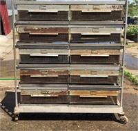 Chick Brooder 5 Tier Electric on Wheels