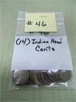 (14) Indian Head Cents