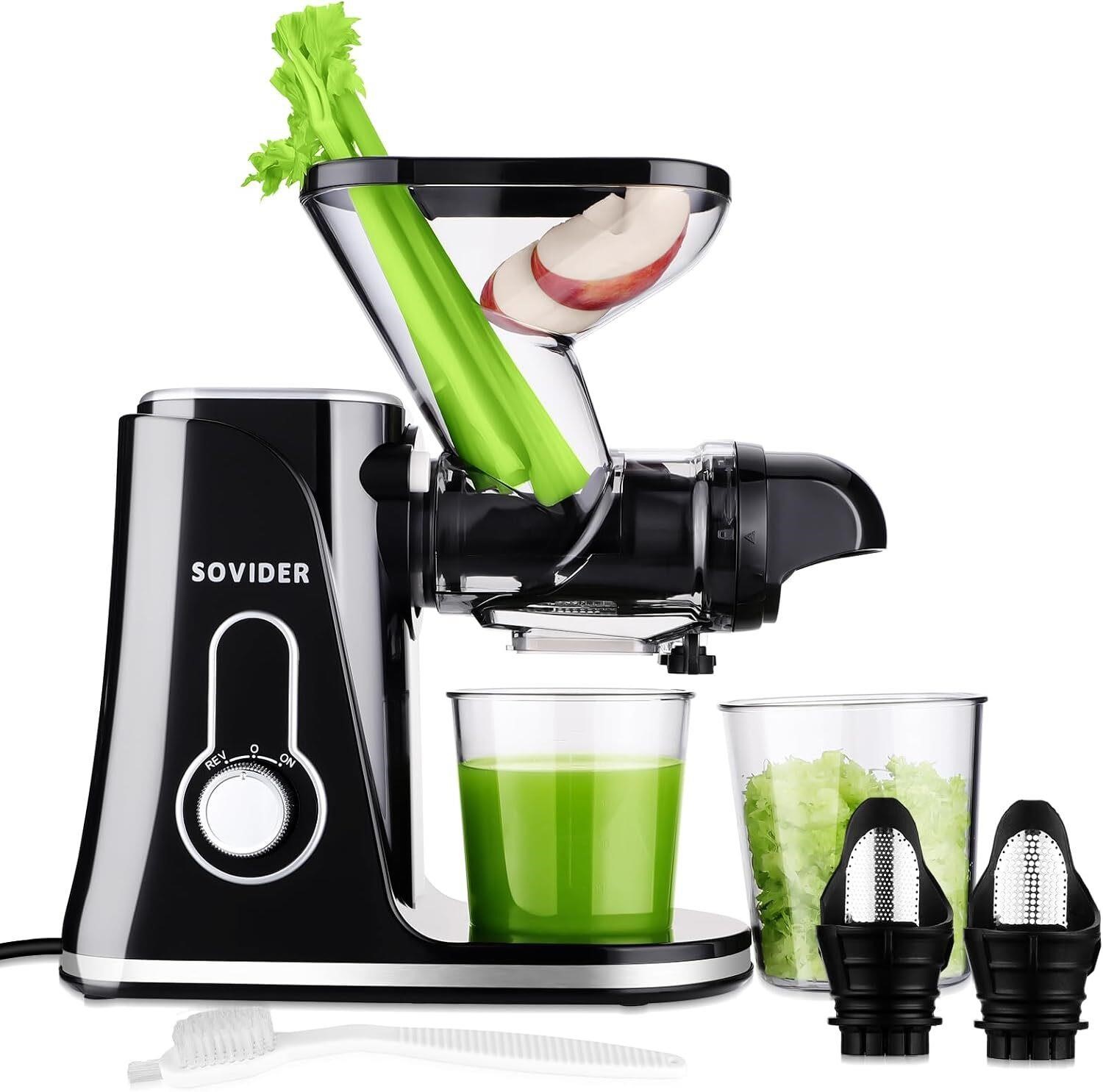 Cold Press Juicer Machine with Dual Feed & Filters