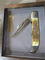 Case folding knife 80th anniversary edition